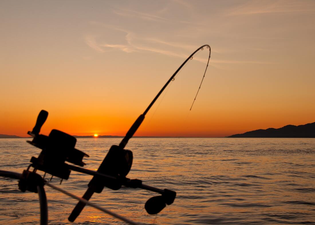 Fishing in Lake Havasu City